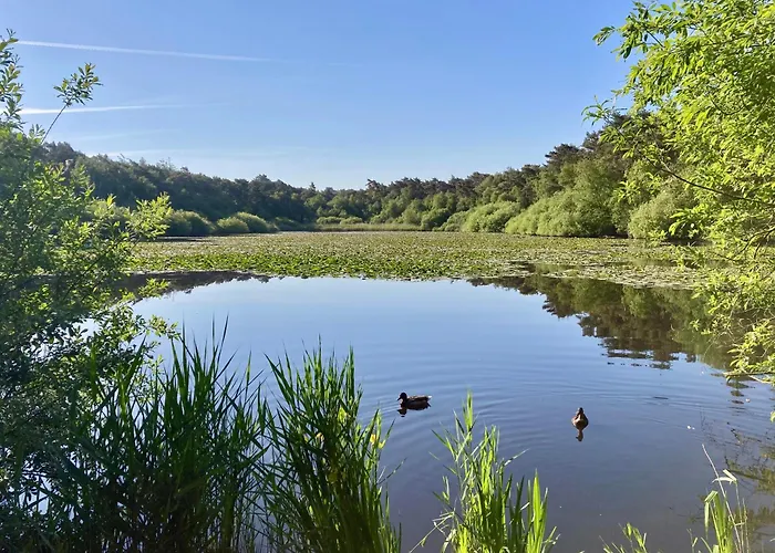 Haus Frauenpreiss Whg 57 Kuestennest